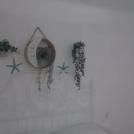 Sidro Spacious With Big Balcony 公寓 *